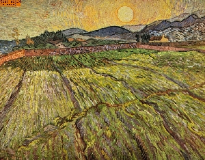 Landschaft mit gepfl�gten Feldern nach van Gogh